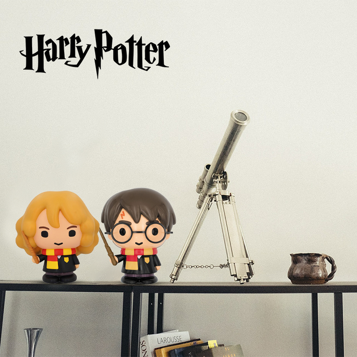 8" Harry Potter Piggy Bank for Adults Cartoon Collectible Money Saving Box